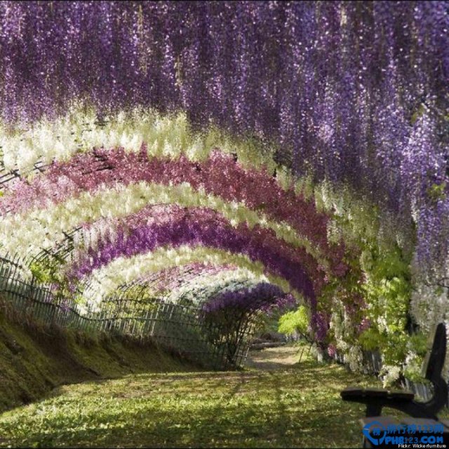 世界十大童话美景，世界十大旅游景点像童话