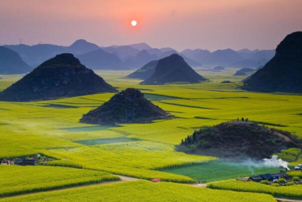 中国最美的十大赏花圣地