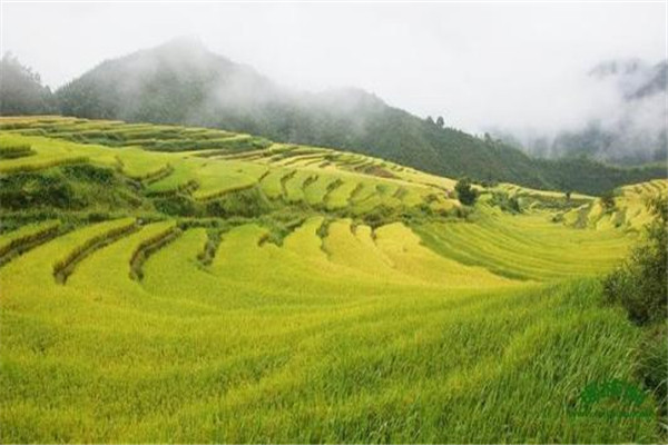 清远十大风景名胜排名古龙峡玻璃大峡谷云天玻霸