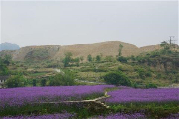 内江最好玩的地方推荐一下 内江最好玩的地方推荐一日游