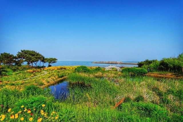 山东桃花岛风景区在哪里(北京桃花岛风景区在哪里)