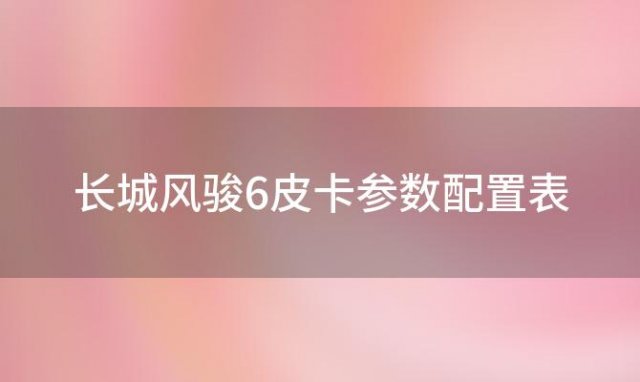 长城风骏6皮卡参数配置表(长城风骏6柴油皮卡四驱报价)