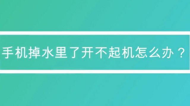 手机掉水里面了怎么办听筒进水了