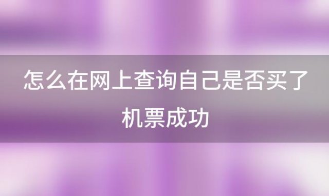 怎么在网上查询自己是否买了机票成功