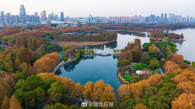 武汉东湖风景区武汉东湖风景区介绍