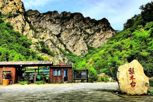 九龙山风景区 门票价格(九龙山风景区在哪里门票多少钱)