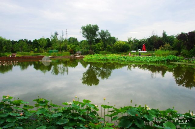 西安植物园属于哪里(西安植物园在什么地方)