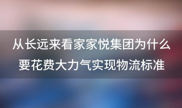 从长远来看家家悦集团为什么要花费大力气实现物流标准化