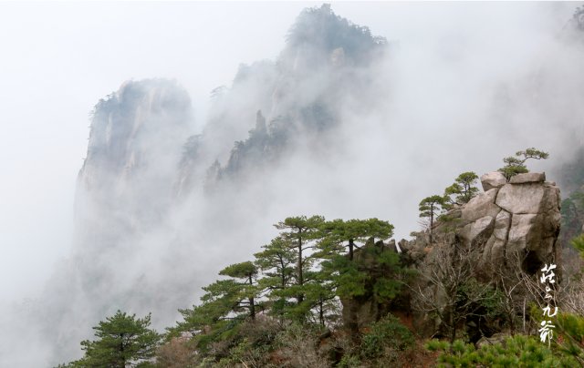 岱山是指什么山(岱山的意思是什么)