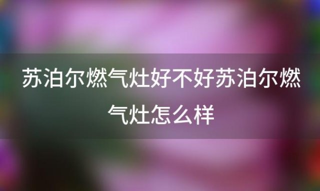 苏泊尔燃气灶好不好 苏泊尔燃气灶怎么样