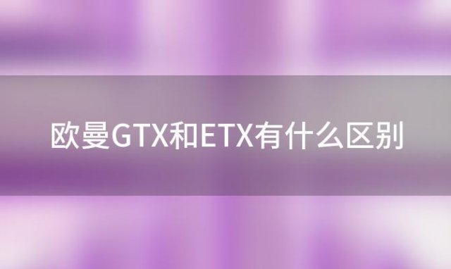 欧曼GTX和ETX有什么区别(速8中的gtx是什么车)