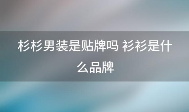 杉杉男装是贴牌吗 衫衫是什么品牌