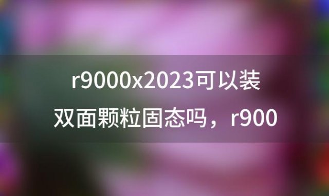 r9000x2023可以装双面颗粒固态吗，r9000x2023外接显示器没反应