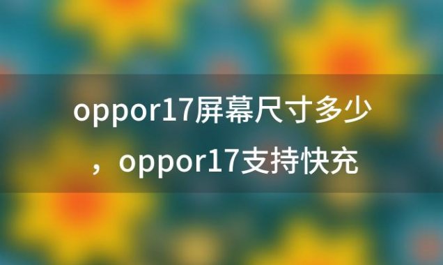 oppor17屏幕尺寸多少，oppor17支持快充吗