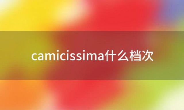 camicissima什么档次(意大利品牌Camicissima恺米切属于什么档次)