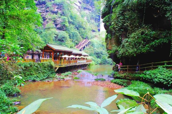 雅安碧峰峡旅游攻略一日游(雅安碧峰峡旅游攻略二日游)