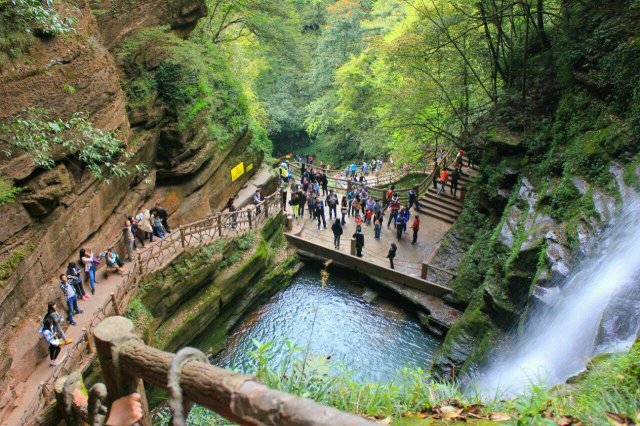 雅安碧峰峡旅游攻略一日游(雅安碧峰峡旅游攻略二日游)