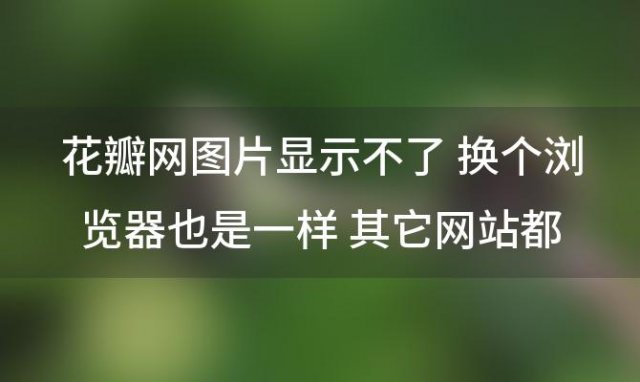 花瓣网图片显示不了 换个浏览器也是一样 其它网站都能显示