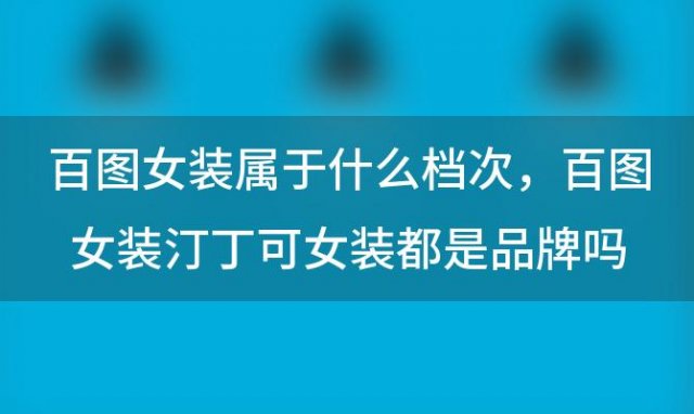 百图女装属于什么档次，百图女装汀丁可女装都是品牌吗