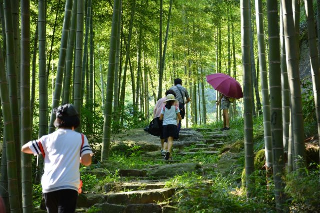 安吉竹博园开元度假村 高级房1-2晚套餐