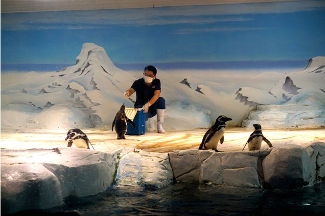 上海海洋水族馆一日游攻略，上海海洋水族馆参观攻略