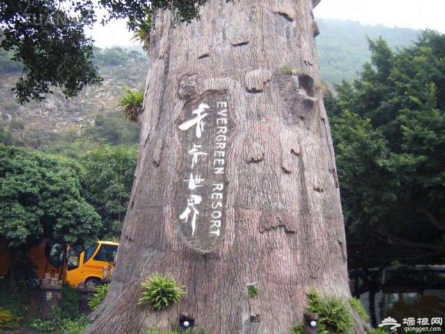 深圳青青世界游玩攻略门票多少(深圳青青世界在哪里)