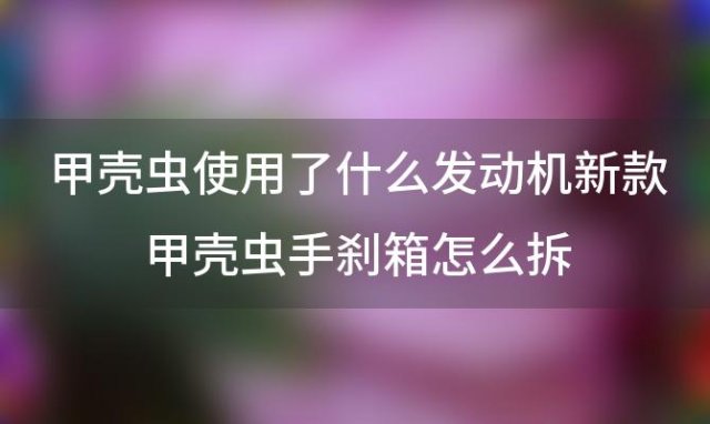 甲壳虫使用了什么发动机 新款甲壳虫手刹箱怎么拆