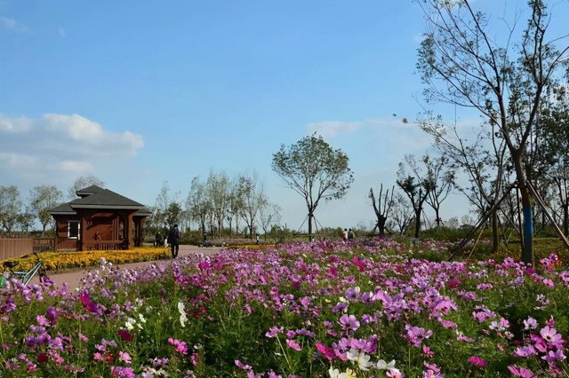 榆林市春季赏花去哪里