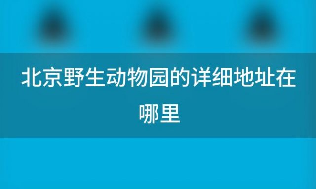 北京野生动物园的详细地址在哪里(2023北京野生动物园攻略 游览)