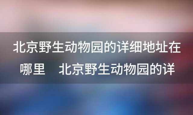 北京野生动物园的详细地址在哪里 北京野生动物园的详细地址是什么