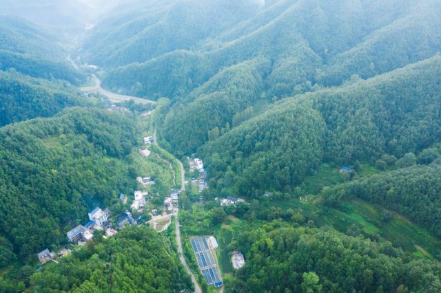 去洛阳玩住哪里去景区最方便呢(去洛阳玩住哪里比较方便)