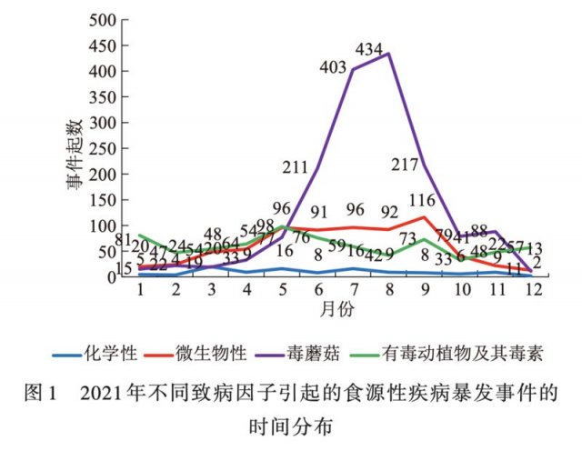 即食水果，清新止泻，让你爱上街边果蔬