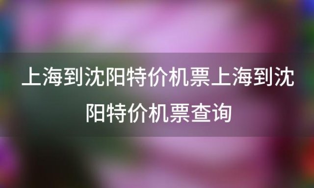 上海到沈阳特价机票 上海到沈阳特价机票查询