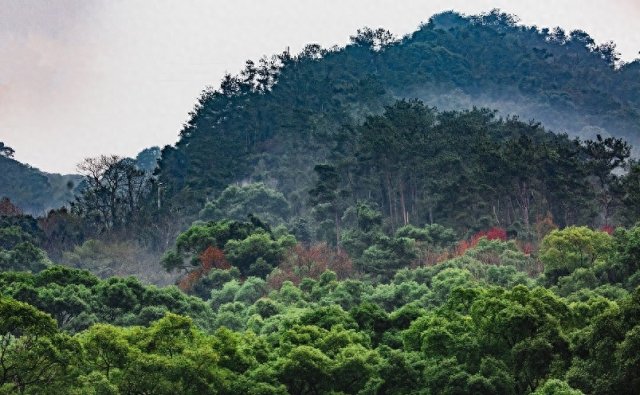 福州必玩的十大景点「福州十大必玩景点推荐」