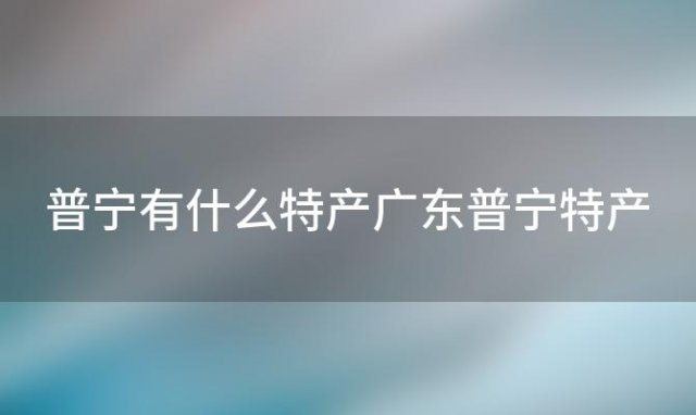 普宁有什么特产广东普宁特产(普宁必买十大特产)