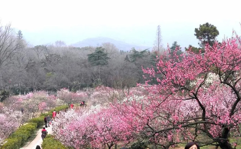 南京高淳有什么好玩的景点，南京高淳旅游景点大全必去的好玩景点