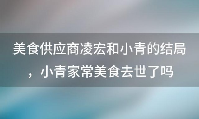 美食供应商凌宏和小青的结局 小青家常美食去世了吗