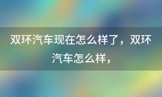 双环汽车现在怎么样了？双环汽车怎么样？