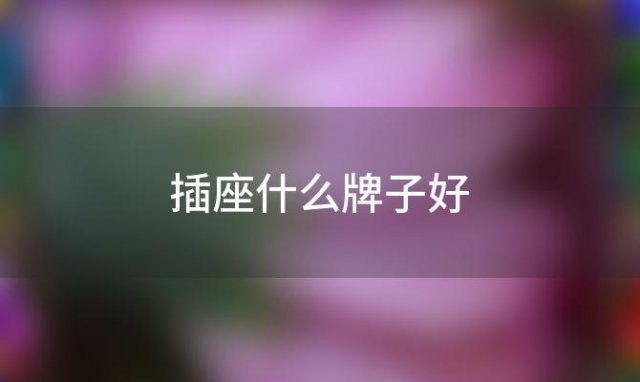 插座什么牌子好「嵌入式插座什么牌子好」