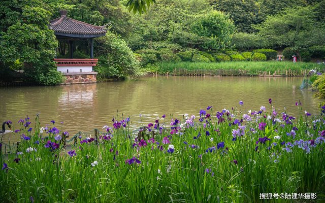 太湖鼋头渚风景区一日游(太湖鼋头渚风景区在无锡哪个区)