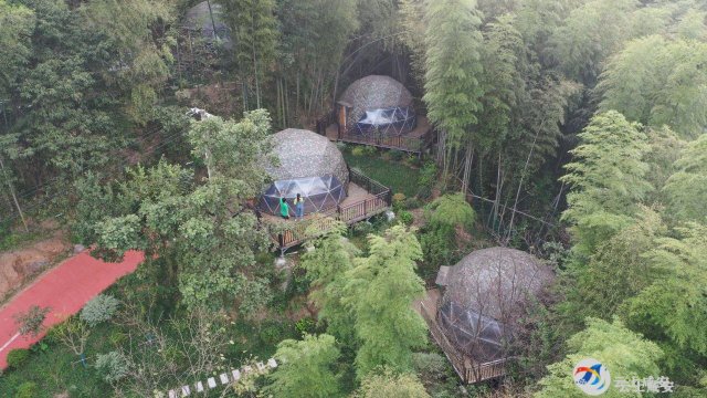 探秘龙隐山，珍稀动植物的天堂