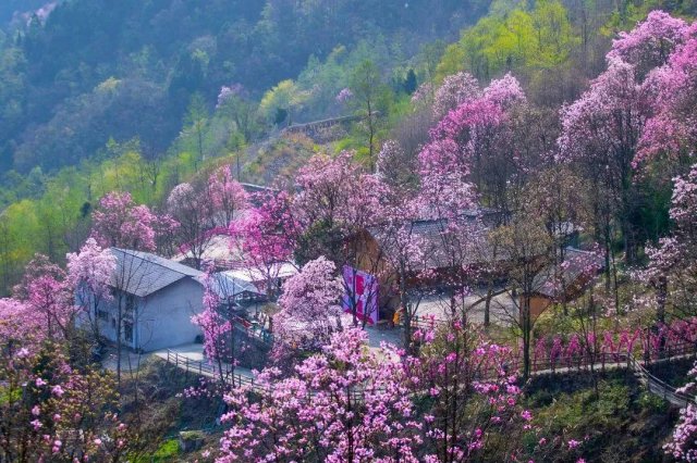 方特东方神画游玩攻略绵阳(绵阳方特东方神画游玩顺序)