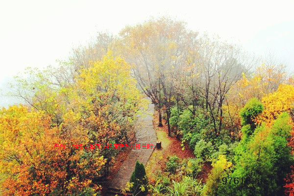 去张家界旅游的雨季在几月份开始 去张家界旅游的雨季在几月份最好