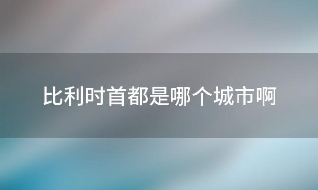 比利时首都是哪个城市啊「比利时首都是哪个国家」