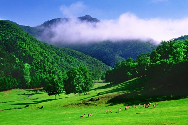 伊春旅游最佳时间是几点(伊春 旅游)