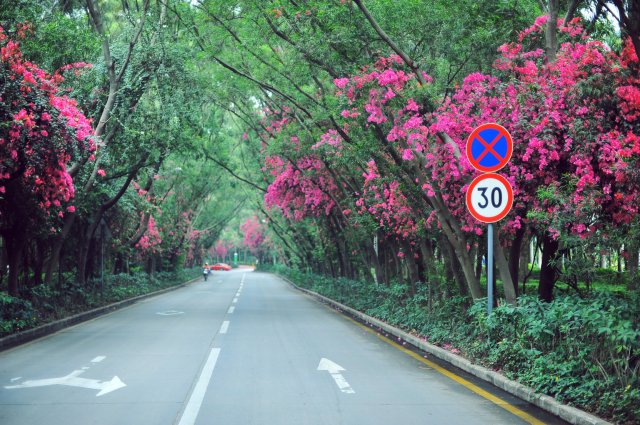 秦皇岛周边赏花好去处(秦皇岛 赏花)