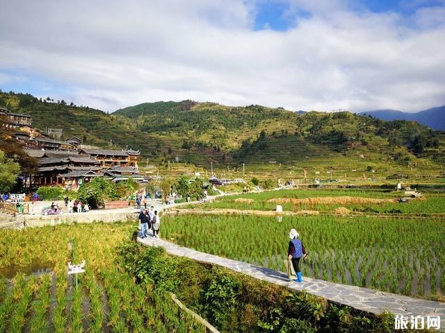 贵州好玩的地方有哪些(贵州好玩的地方有哪些地方推荐)