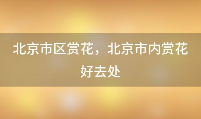 北京市区赏花 北京市内赏花好去处