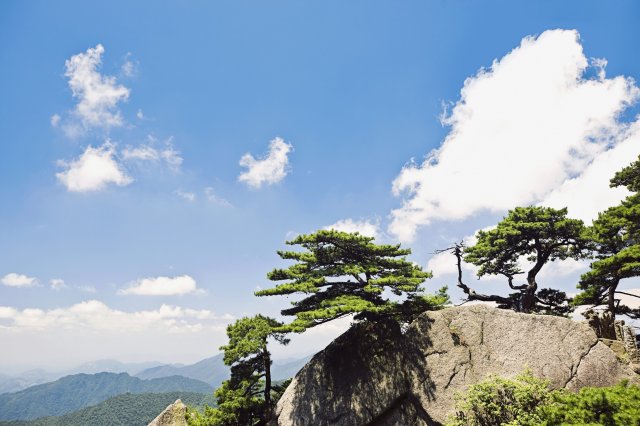 黄山旅游攻略一日游，带娃黄山一天爬完最佳路线