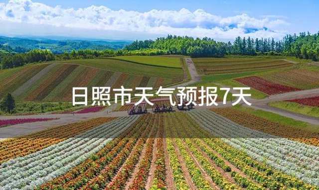 日照市天气预报7天「2024年01月13日」